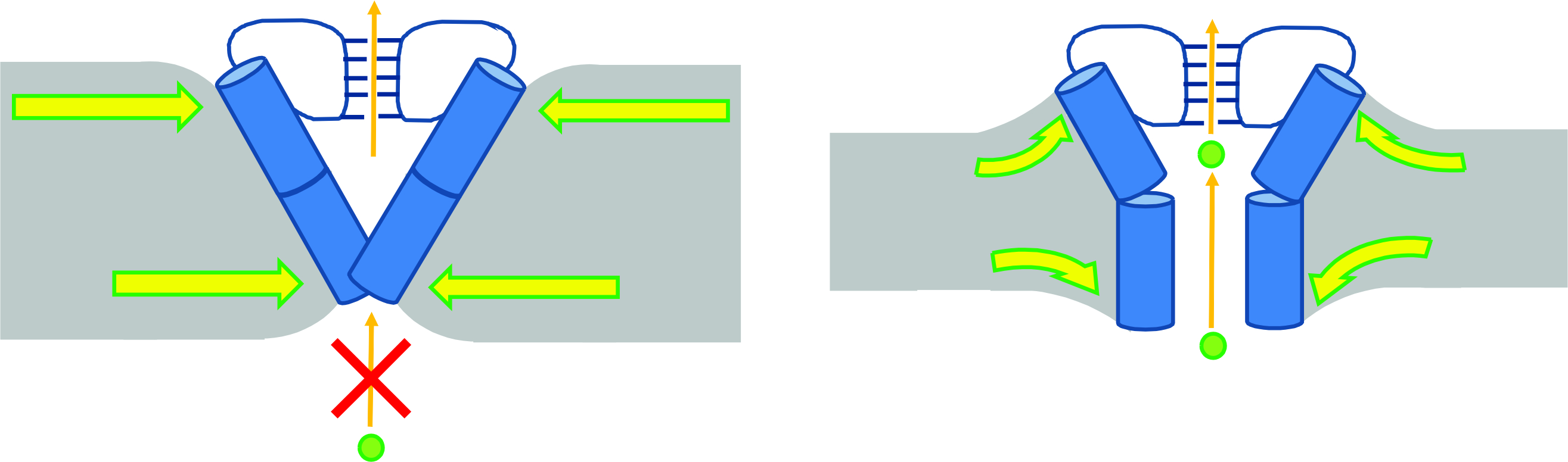 KcsA channels pc clipart
