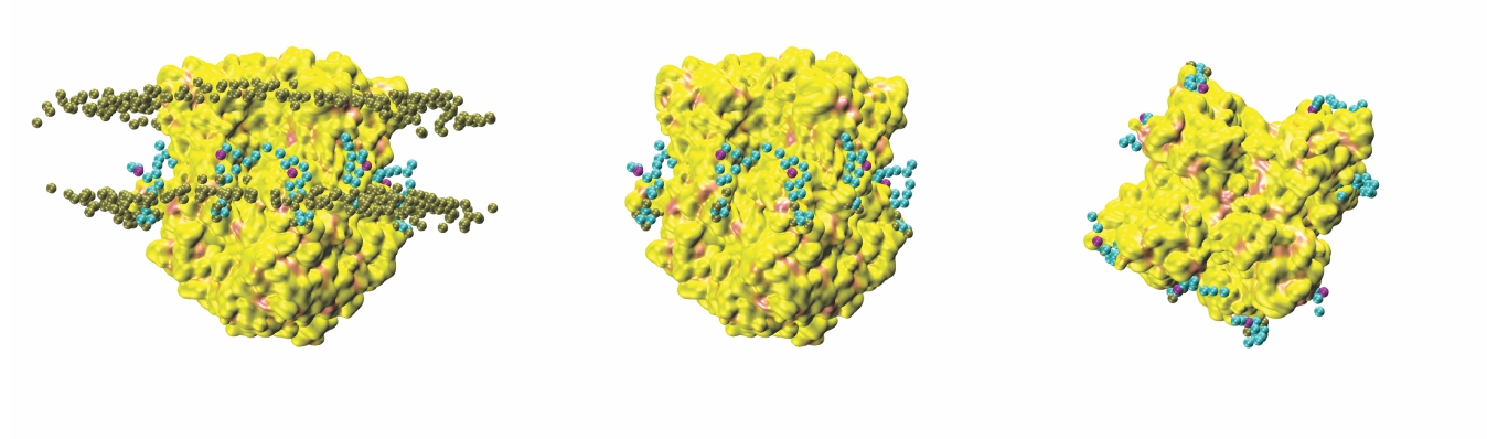 Computational Prediction of Phosphoinositide Binding to Hyperpolarization-Activated Cyclic-Nucleotide Gated (HCN) Channels